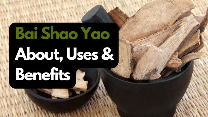 白芍：简介、功效与用途(Bai Shao Yao: About, Benefits & Uses)